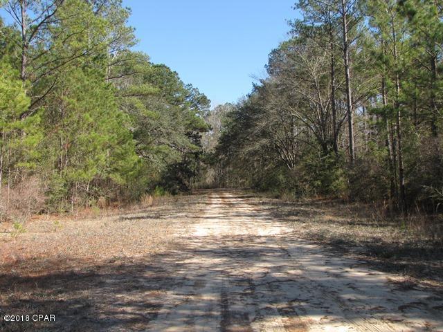 Compass Lake In The Hills - Land