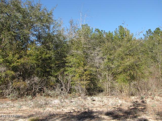 Compass Lake In The Hills - Land