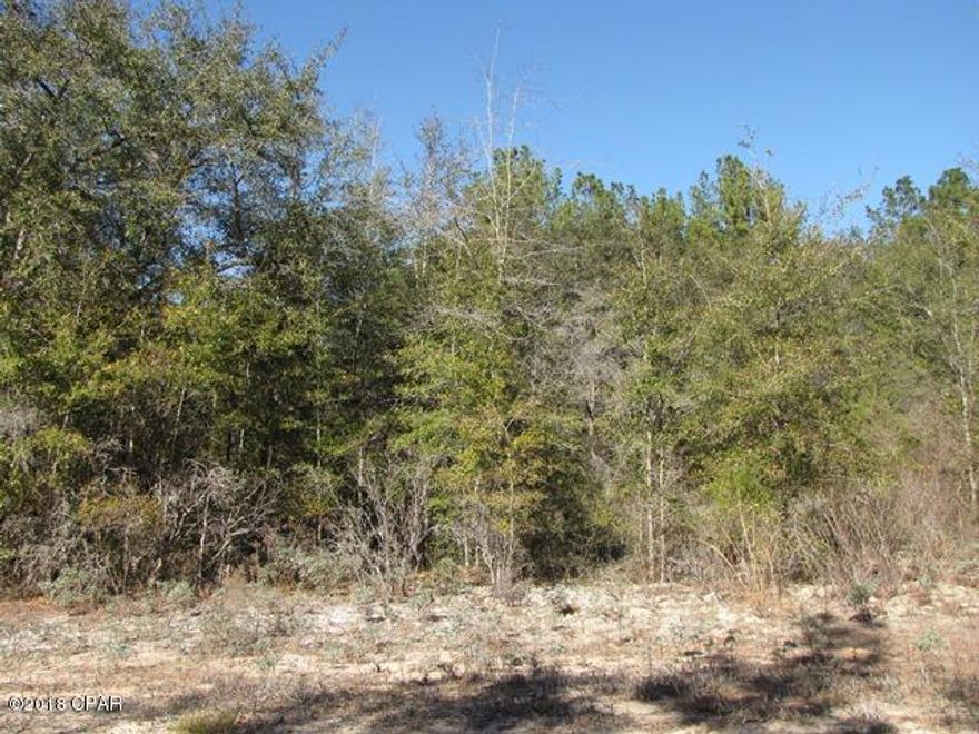 Level Lot of over 1 Acre in the Compass Lake in the Hills development in NorthWest Florida. Conveniently located about 15 minutes South of Interstate 10 at Marianna and about 40 minutes North of Panama City for Shopping, Restaurants, Entertainment, and Beautiful Gulf Beaches. Site Built or Modular homes only, no Mobile Homes allowed in this section of the development. As an owner in this development, you have access to Private McCormick Lake for Swimming, Fishing, Canoeing, Kayaking, etc, as well as the Main Lodge over on Compass Lake with Swimming Pool, Tennis Courts, Horseback Riding, etc. Come enjoy the Quiet, Peaceful Lifestyle of Compass Lake in the Hills today.
