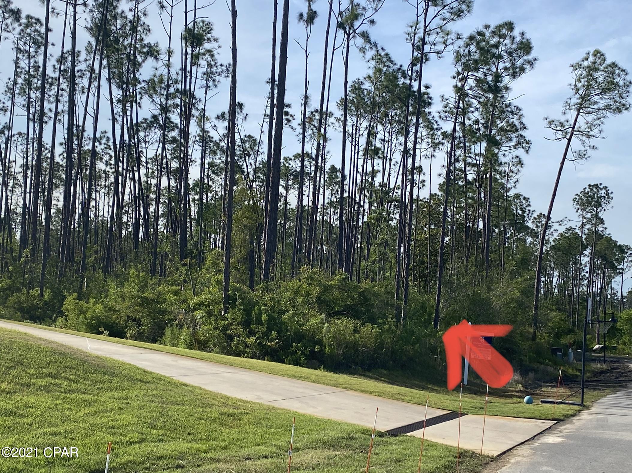 Cedar Creek Chase Ph 1 - Land