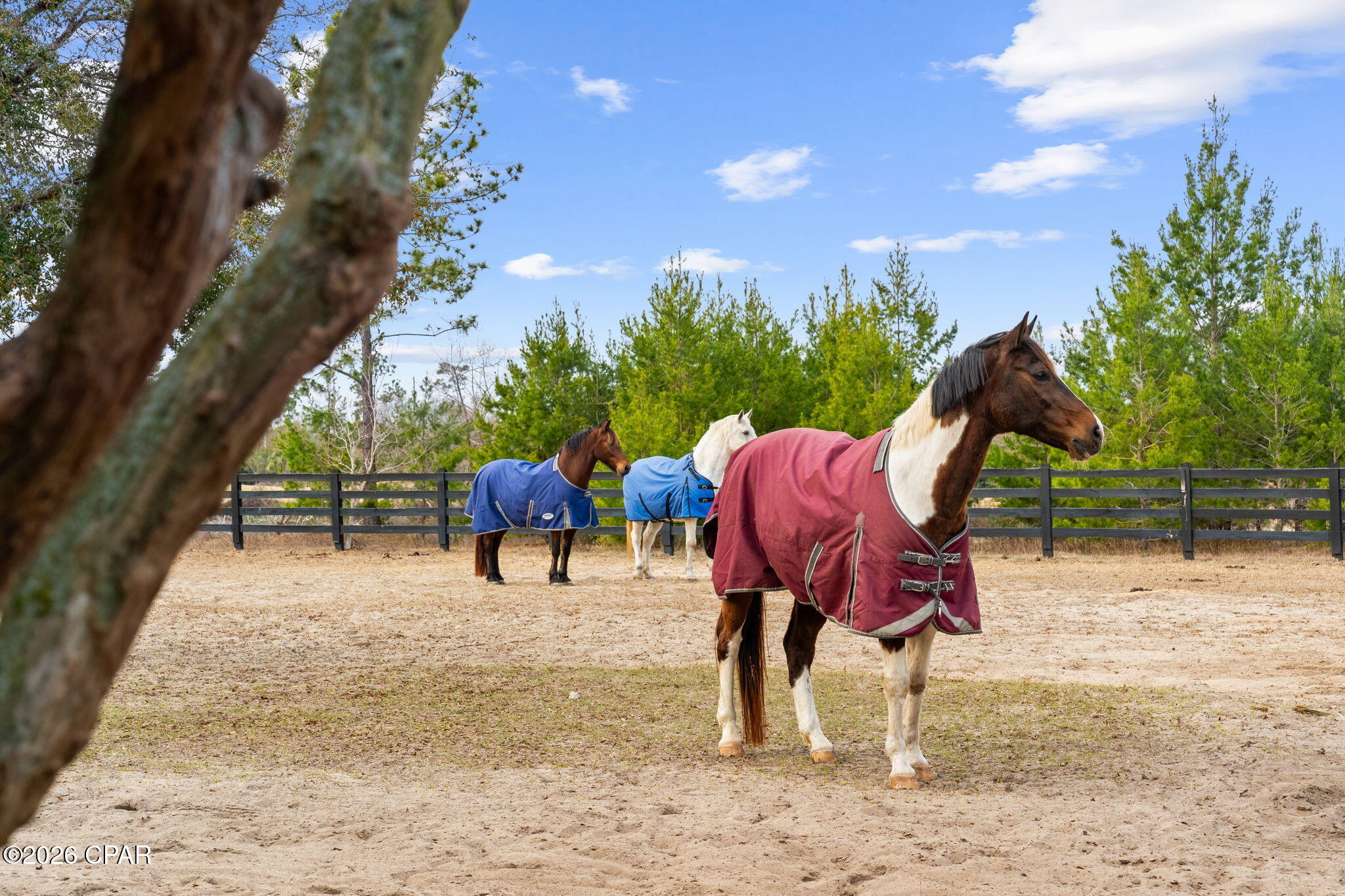 Normandale Estates - Residential