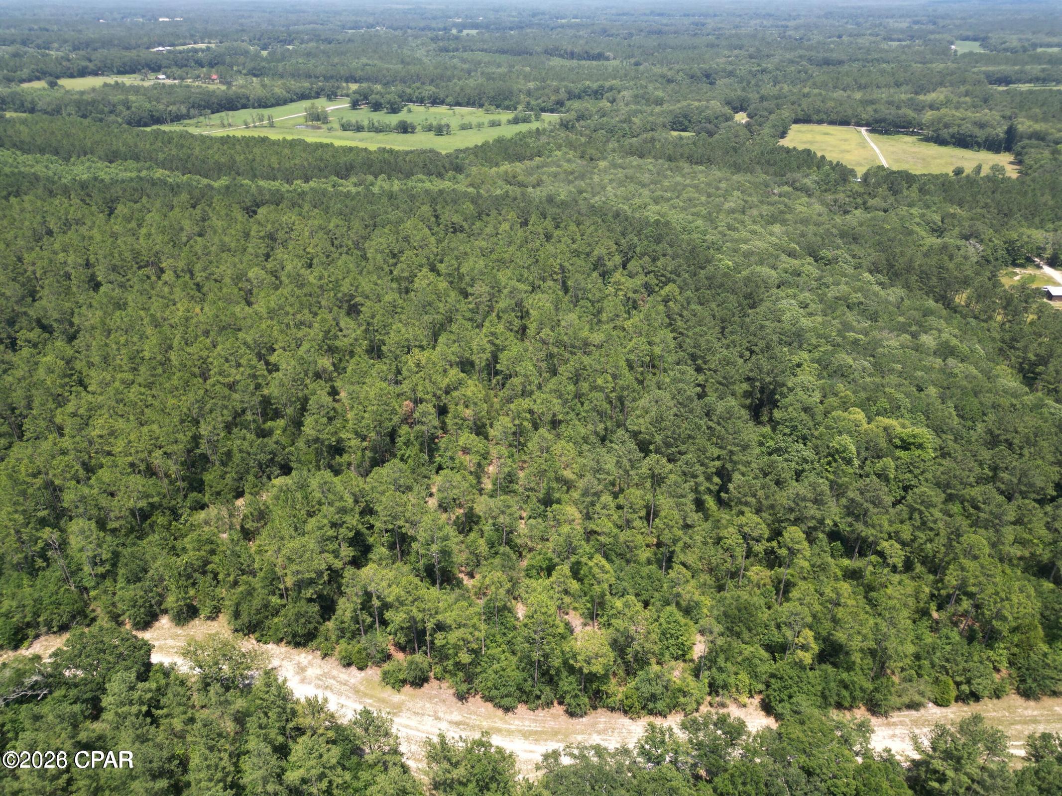 Canopy Crossing - Land