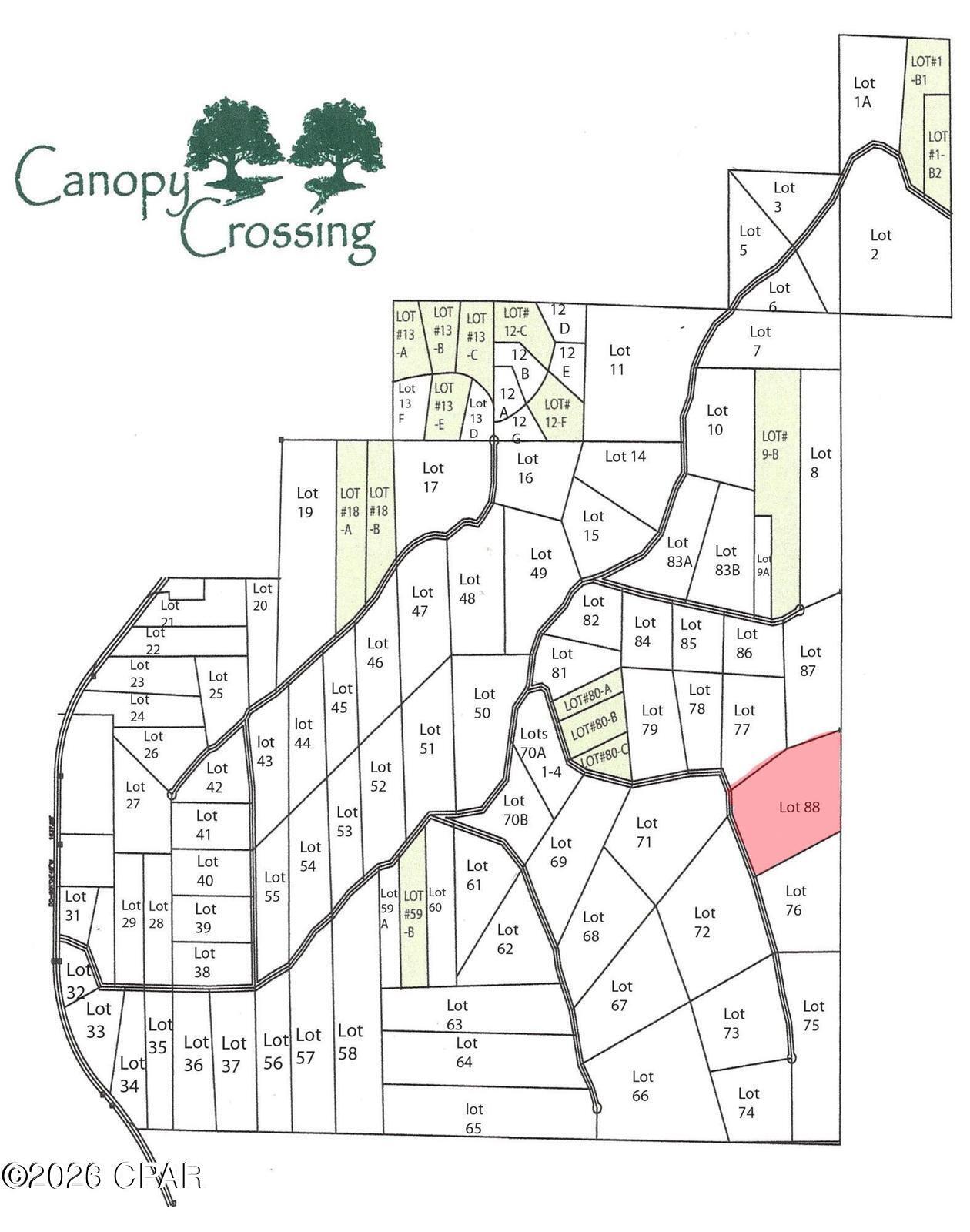 Canopy Crossing - Land