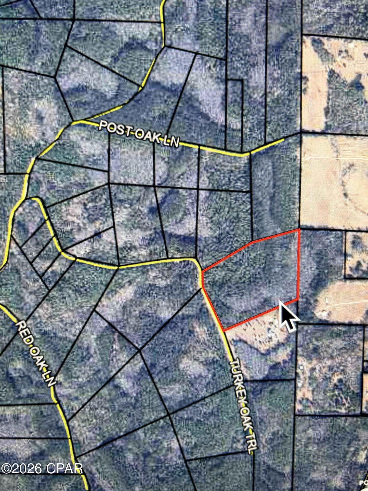 Canopy Crossing - Land