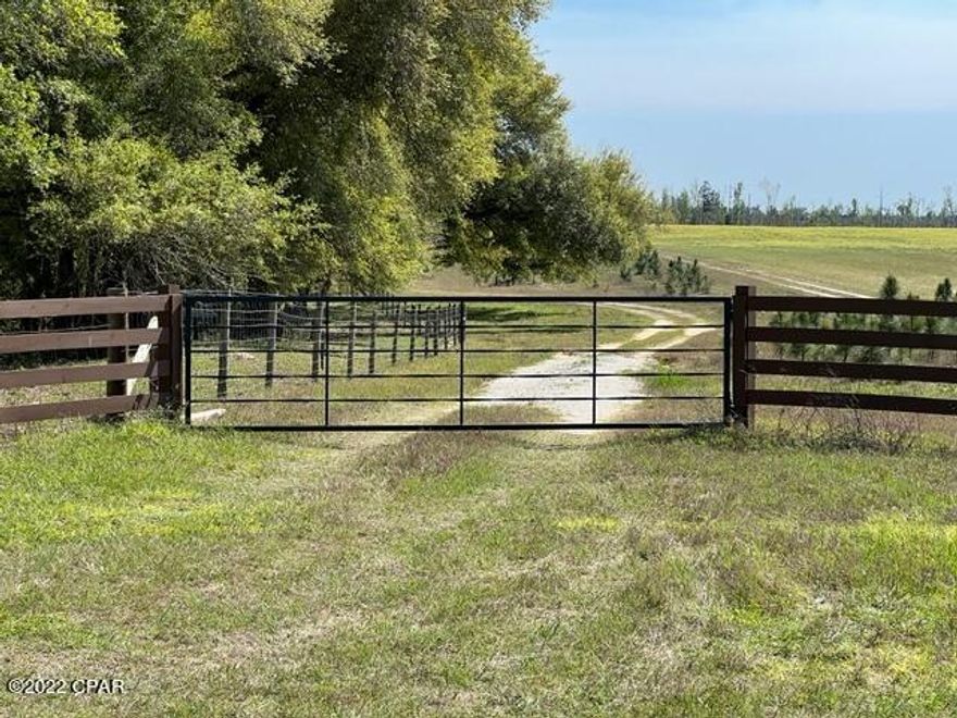 Nice secluded 52 acres, in a great country setting & great view. Nice 7.0 acres fenced with well & 50 Amp RV hookup. 6.5 acres planted pines, 3 years old. Homesite is leveled. 2 condo deer stands with feeders. Hansford Branch Creek runs east & west on South end of the property. Small spring on hill on adjacent property that runs into this property.