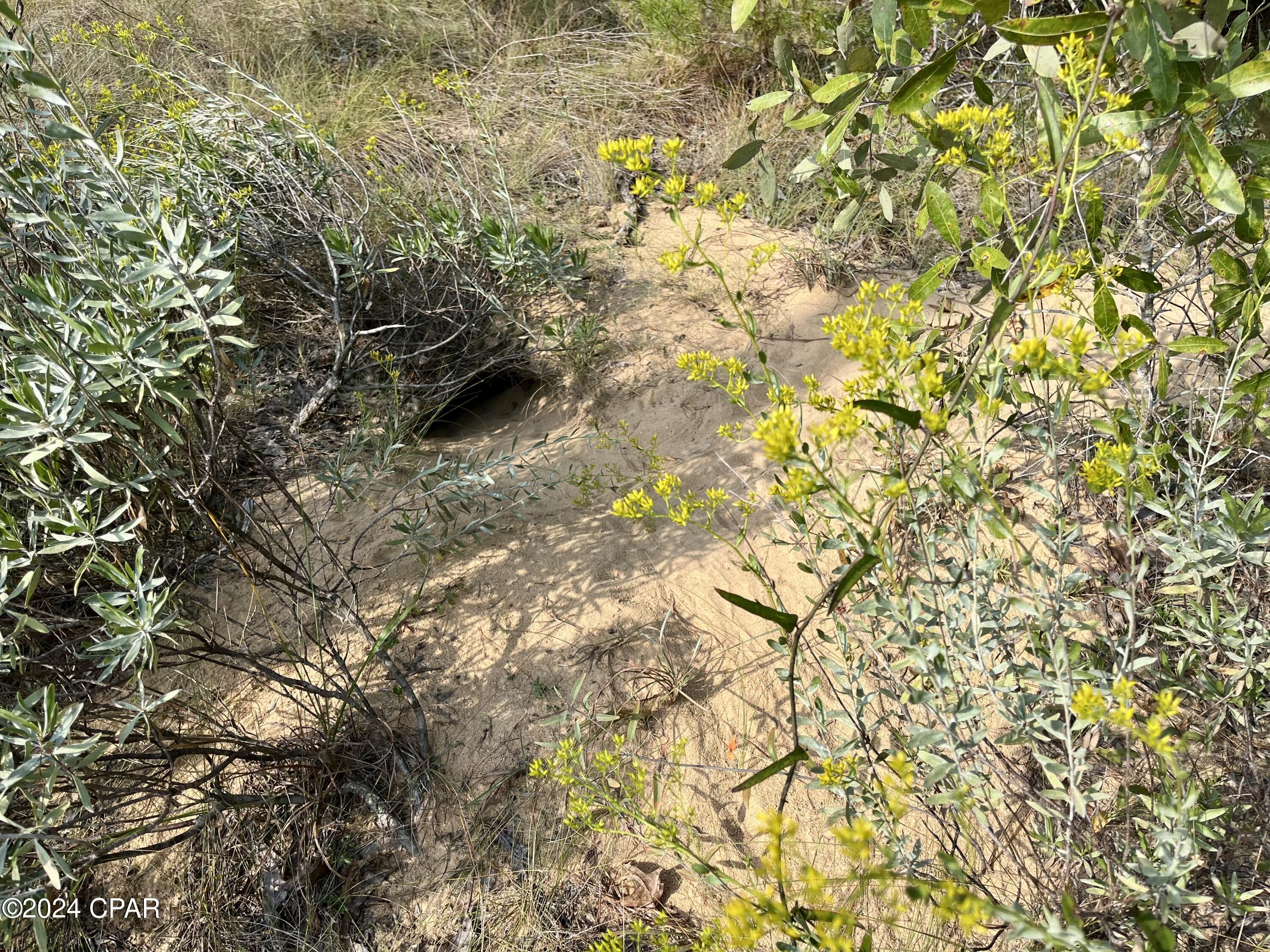 Sunny Hills Unit 1 - Land