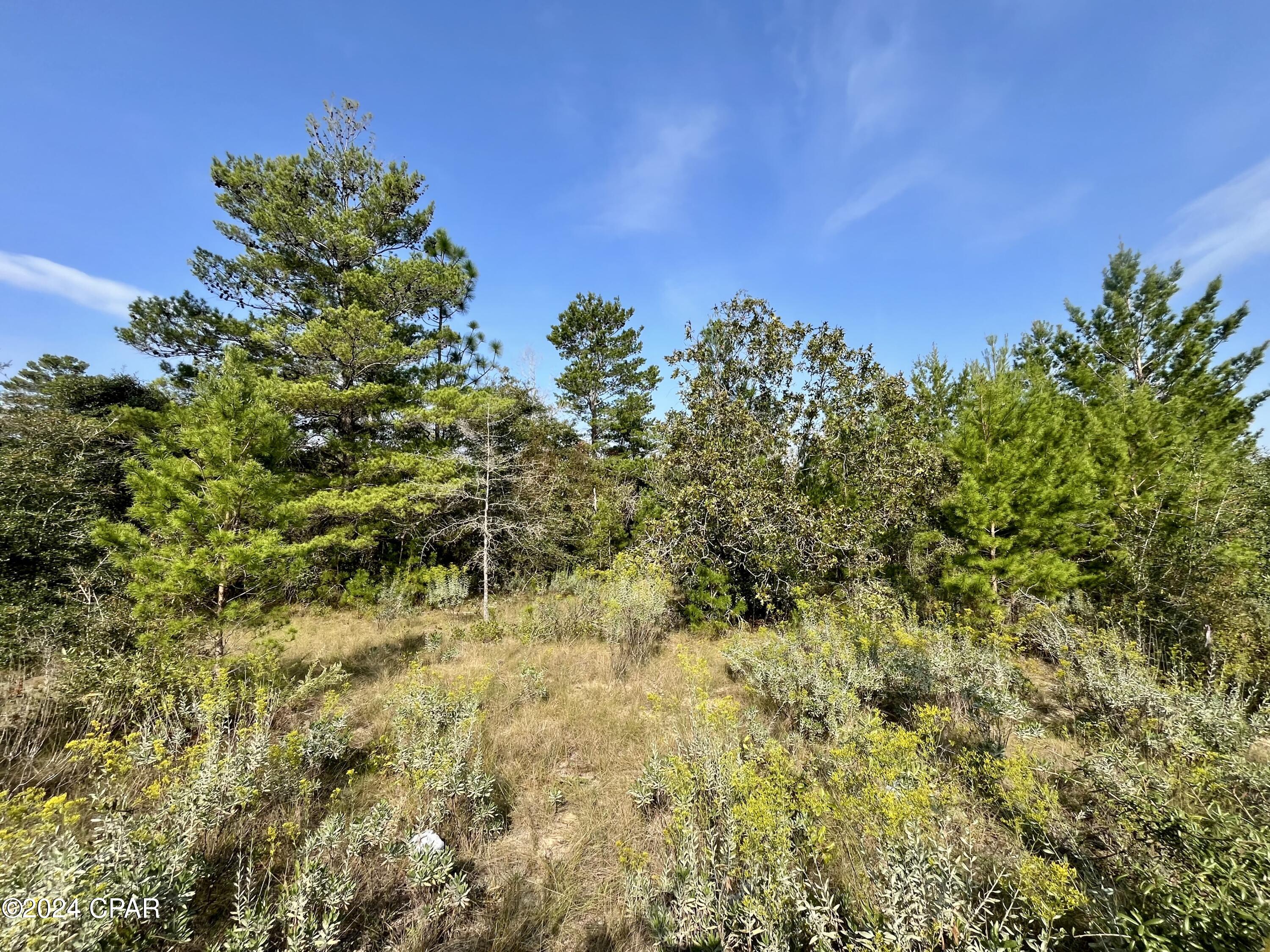 Sunny Hills Unit 1 - Land