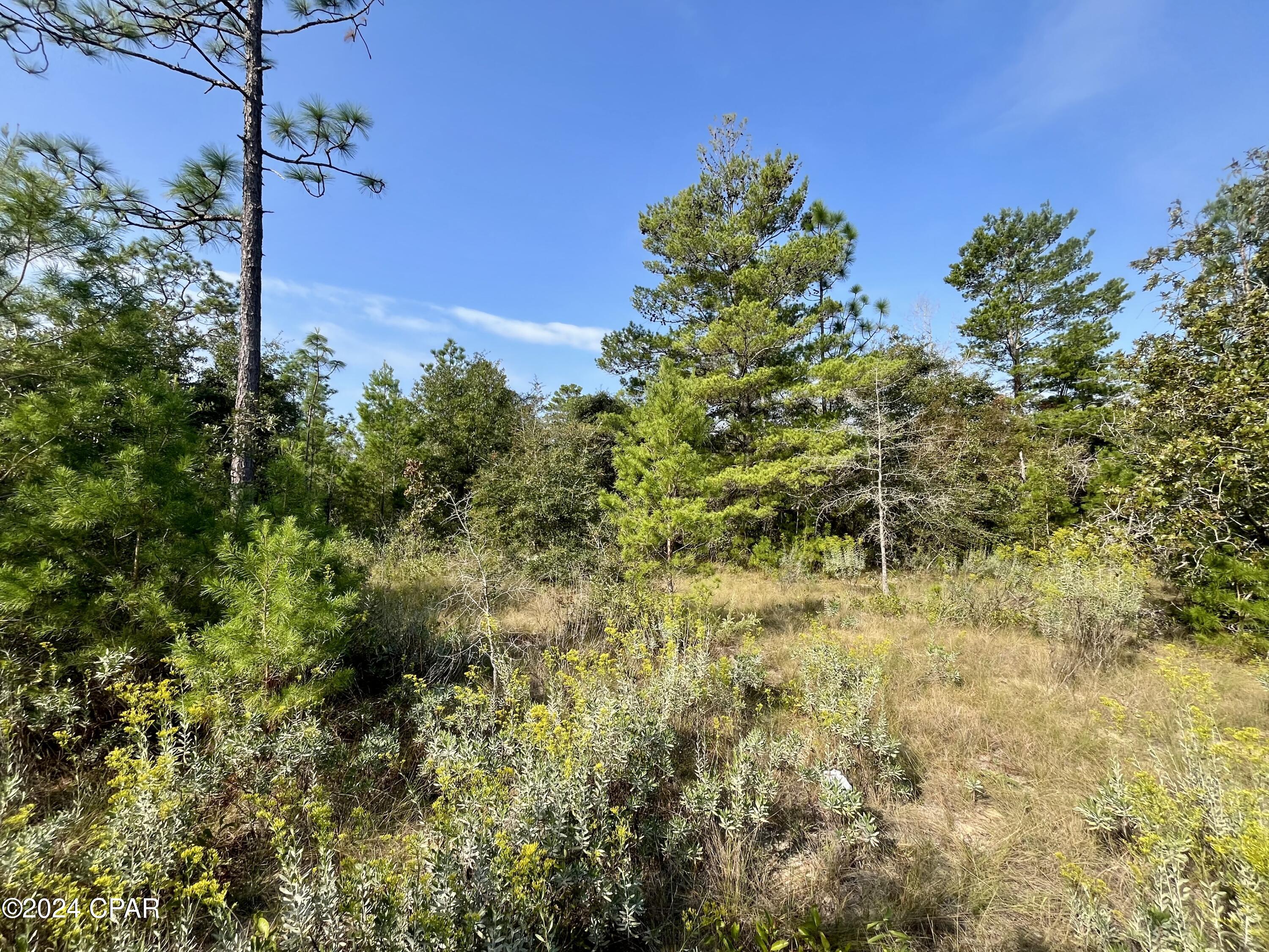 Sunny Hills Unit 1 - Land