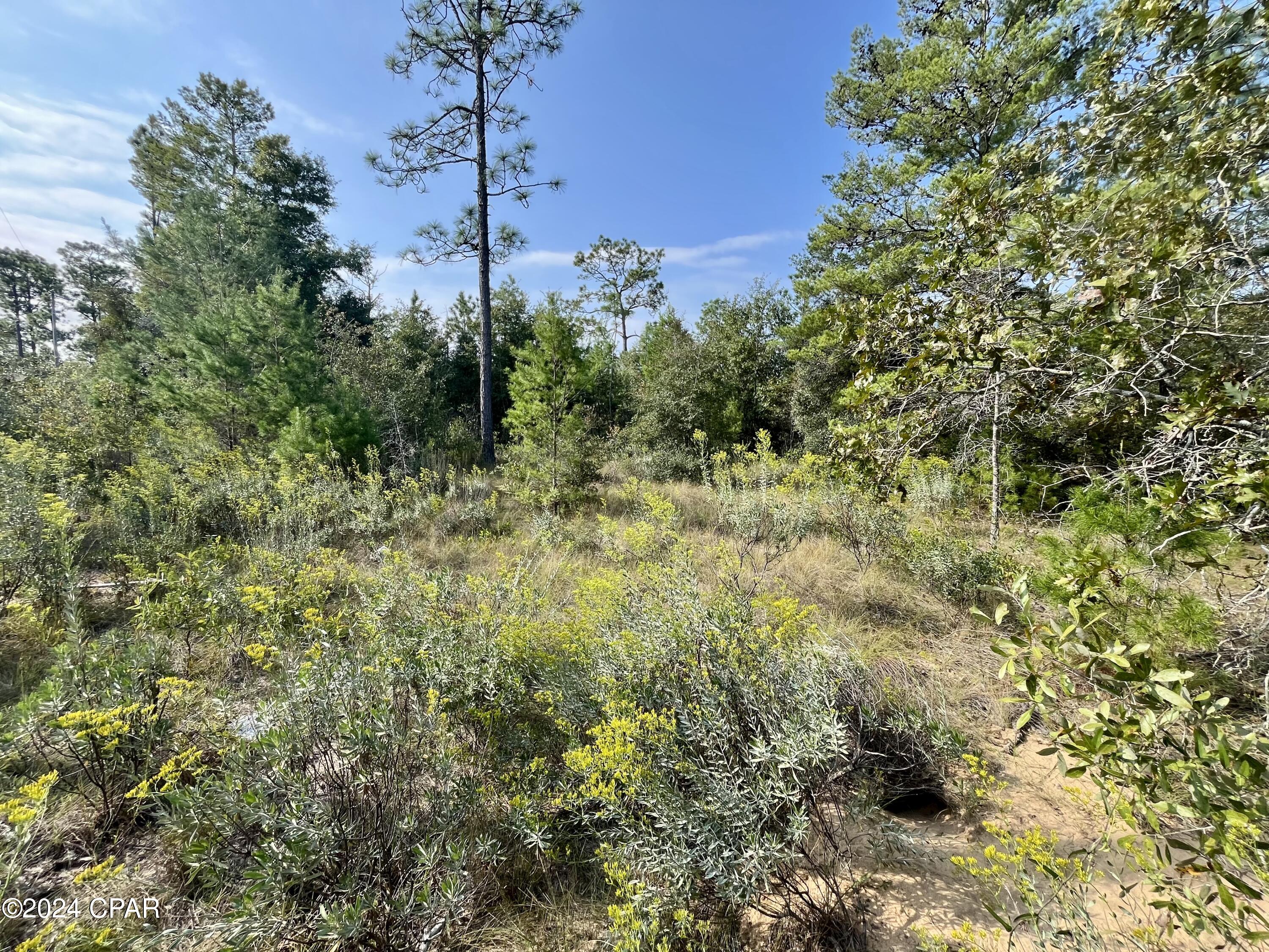 Sunny Hills Unit 1 - Land