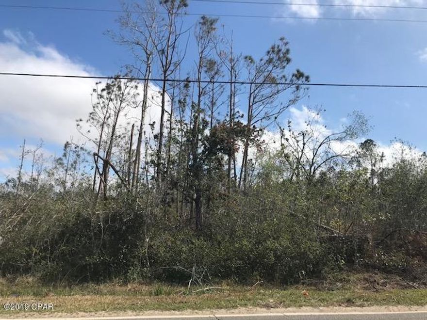 Unimproved lot on a paved road perfect for mobile home or site built home no larger than 78' x 30'. This is a unique property in that it is 2.01 acres, but 1.45 acres in the back is a Conservation easement and the front .56 acre is the uplands portion that you can build on.  What a perfect lot for a nature lover!  Survey is available as well as informal site plan for home placement and conservation easement document.  This is convenient to Hwy 231.