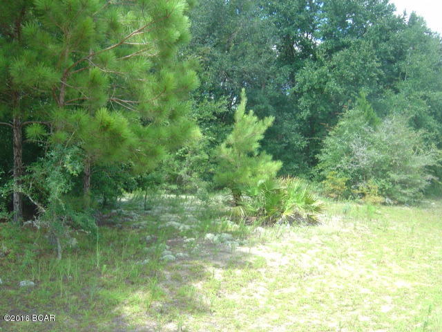 Compass Lake Hills Unit 5 - Land