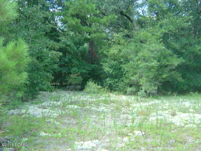 Compass Lake Hills Unit 5 - Land