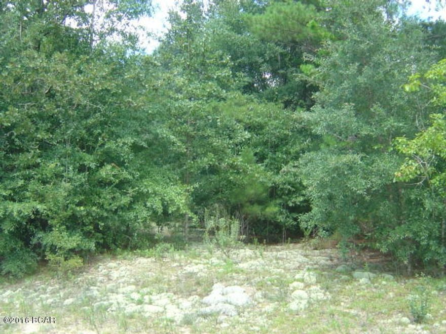 HOA is a Property Owners Association and not a HOA with assessesment of 135 plus property taxes of about 35.  Great corner lot with all the amenities of Compass Lake in the Hills.  One of the best lots in CLH.