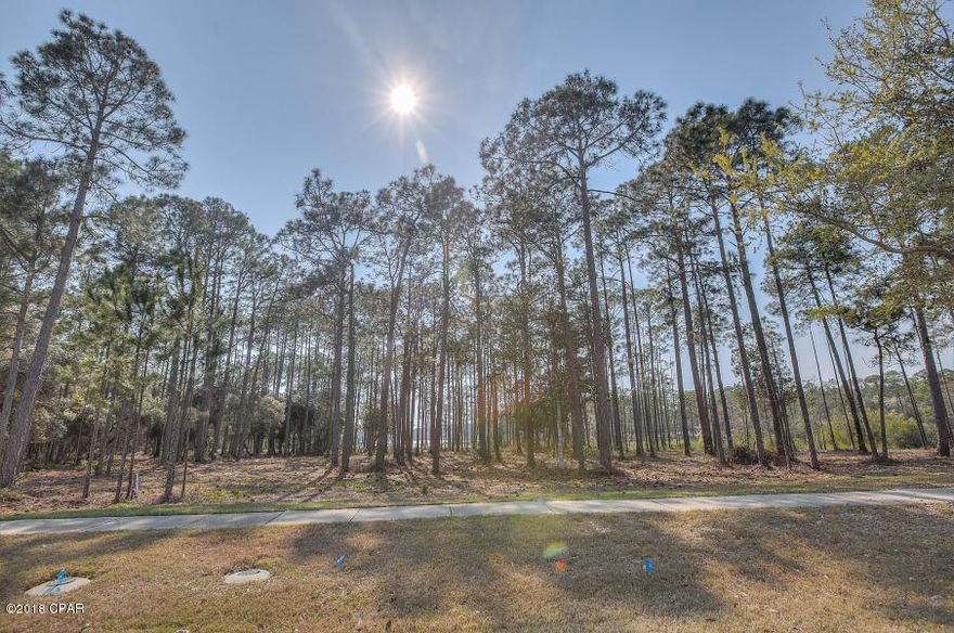 Bring us an offer!! Wild Heron is a beautiful natural setting on the shores of Lake Powell, a Coastal Dune Lane, on the edge of the Gulf of Mexico.  Wild Heron features world class amenities especially the Greg Norman designed Shark's Tooth Golf Course.  This is a private, non-rental and gated community.  the large lot has a private and intimate setting without any adjoining lots.  Plus a fantastic view of Lake Powell, and natural sawgrass conservation areas.  What a great opportunity to build your coastal dream home here.  Wild heron is in very close proximity to Panama City Beach, Pier Park, Scenic Hwy 30-A and the Gulf of Mexico.