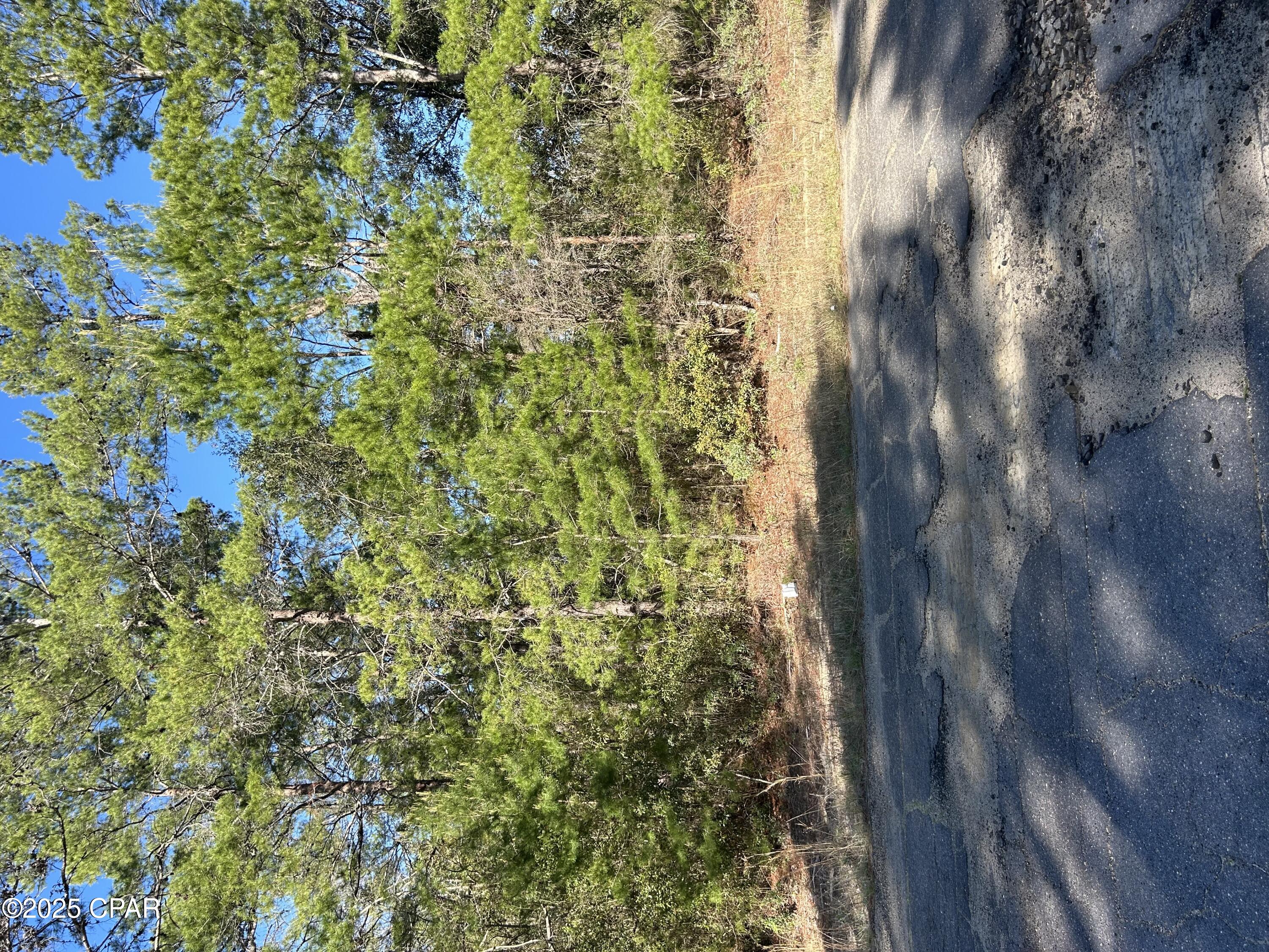 Sunny Hills Unit 1 - Land