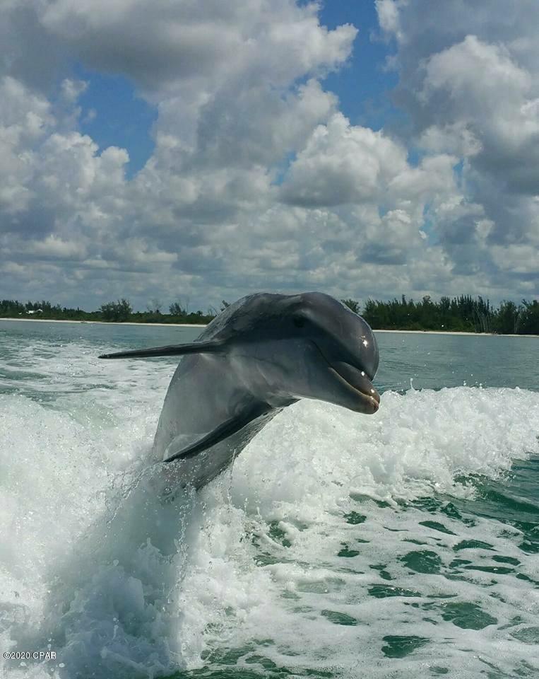 Portside Condo - Residential