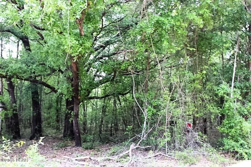 5 wooded acres in the country near Compass Lake.  There is an old abandoned 1008 sq.ft. concrete block house of no value on the property. There should be a well and septic tank on the property but not guaranteed.   This would make a good location for a house or mobile home. You are close to beautiful Compass Lake to enjoy water sports, swimming,  fishing, etc.