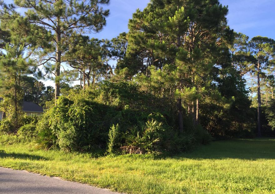 Great lot surrounded by nice homes in flood zone X! Come build the home of your dreams just a short walk from the beach in a very desirable neighborhood. The charming quiet getaway of St Joe Beach offers all the natural beauty of the forgotten coast with its sandy white beaches, desirable parks and accessible fishing and boating spots. Whether you're looking for a second home or a place to be rooted there is much to be gained with the opportunity that this lot offers for the future homeowner.