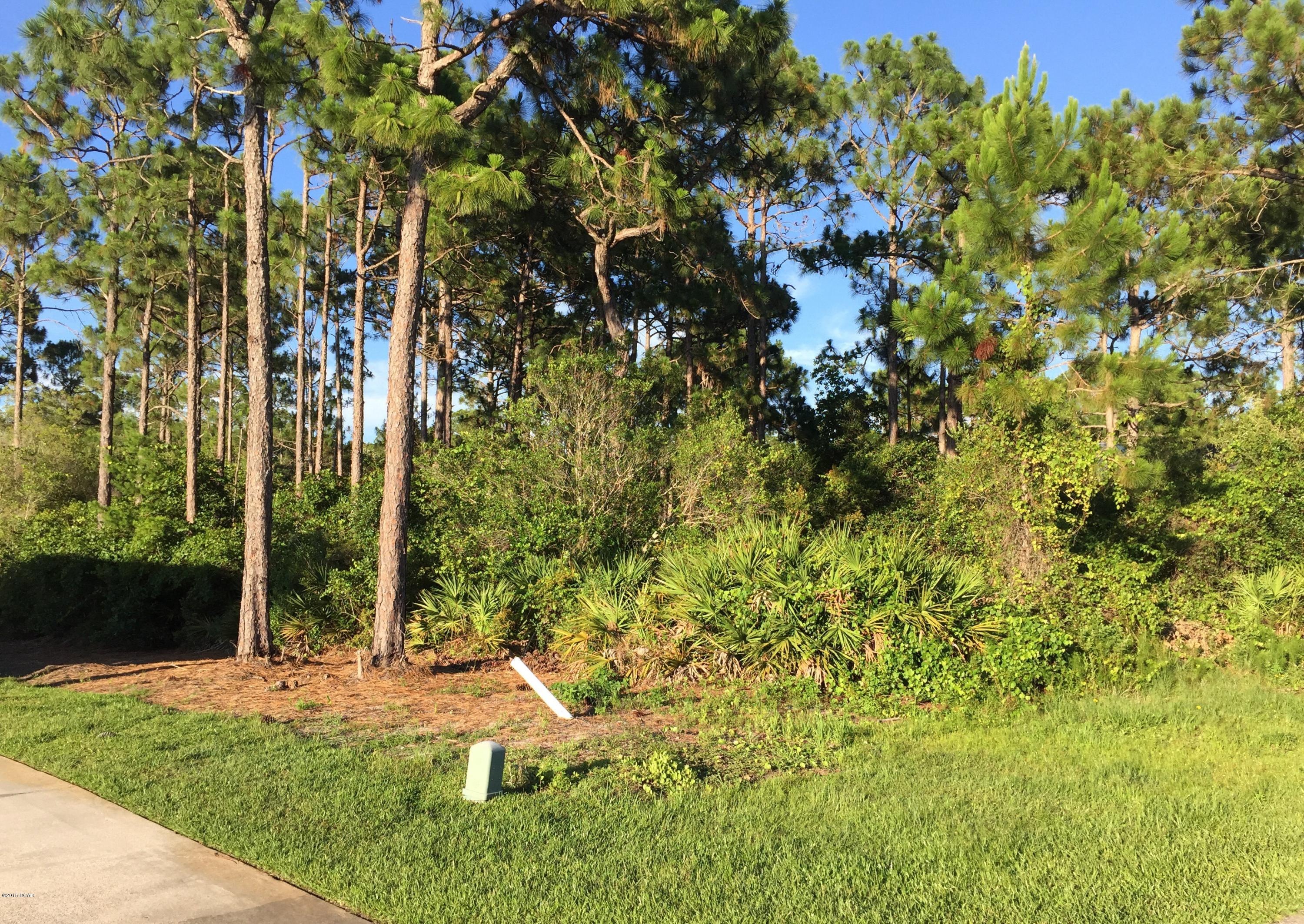 Seashores - Residential