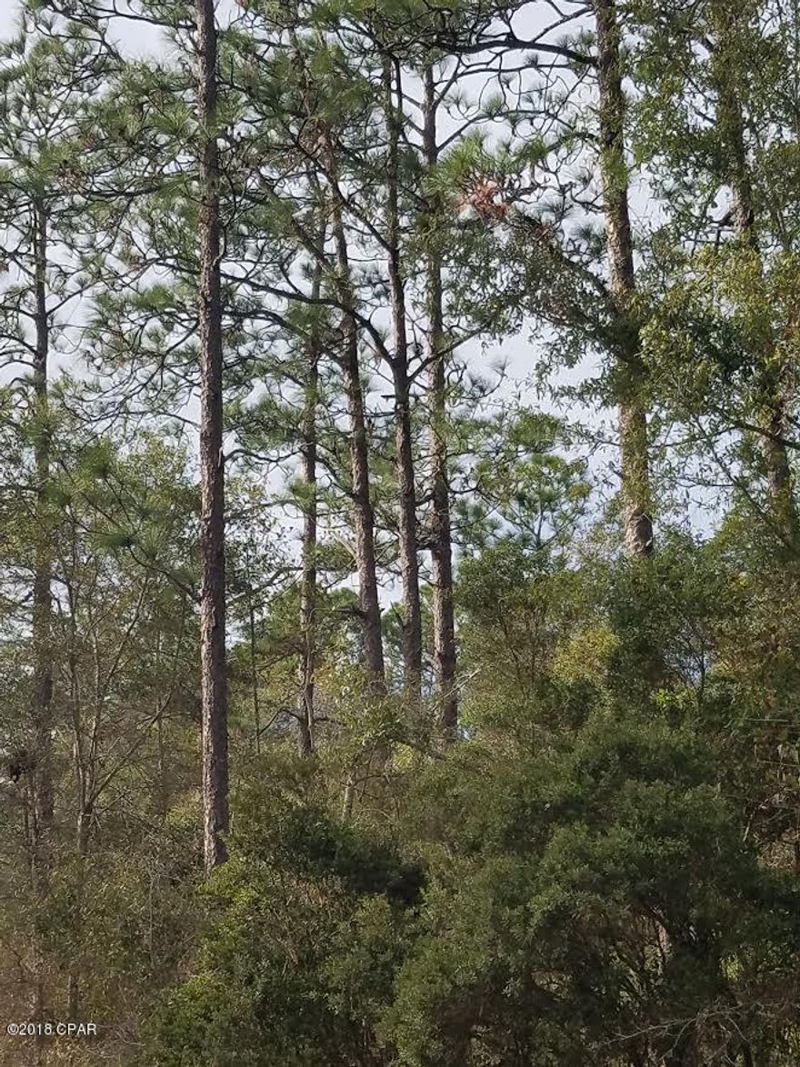 Beautiful Vacant land