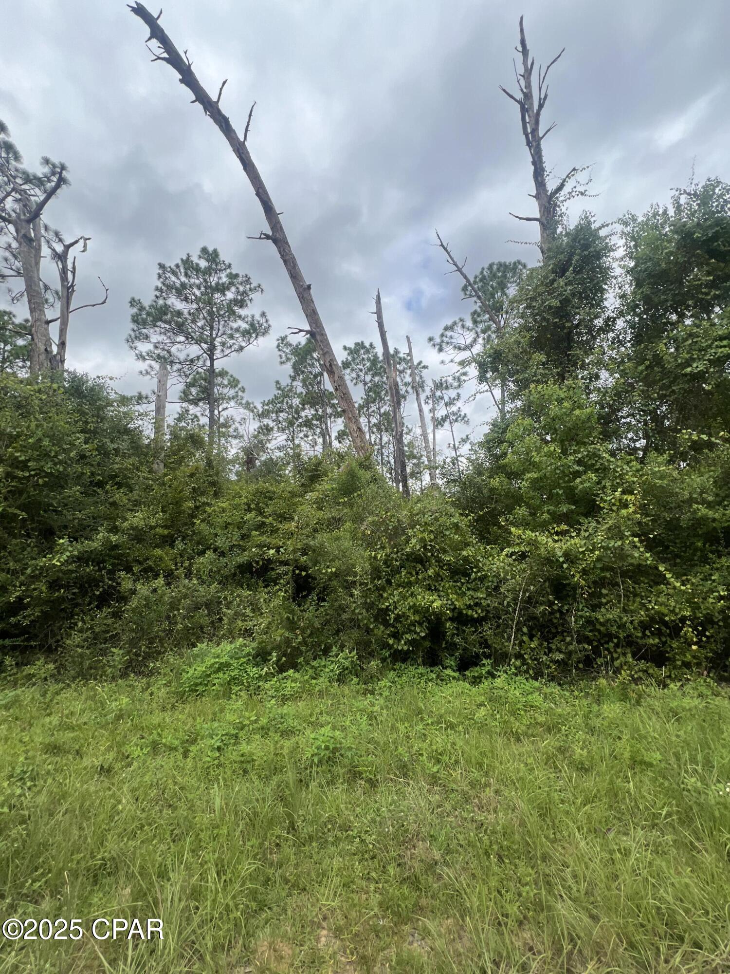 No Named Subdivision - Land