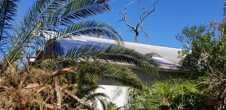 For Comp Purposes Only



This home has major damage by Hurricane Michael and priced for value of Lot only.