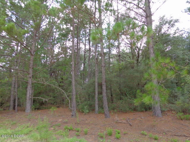 Compass Lake In The Hills - Land