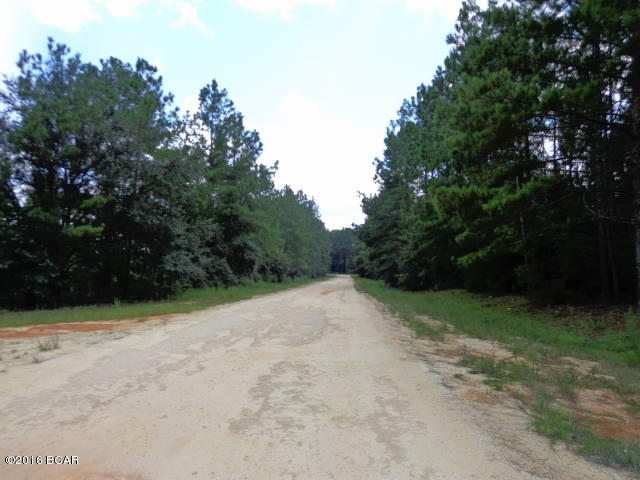Compass Lake In The Hills - Land