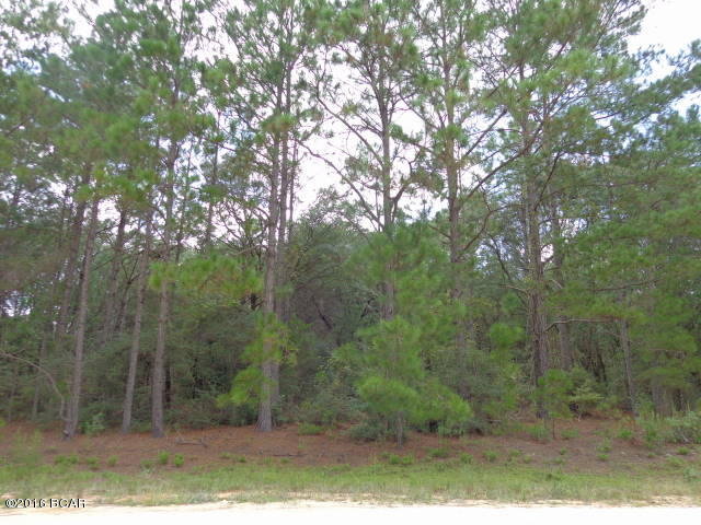 Compass Lake In The Hills - Land