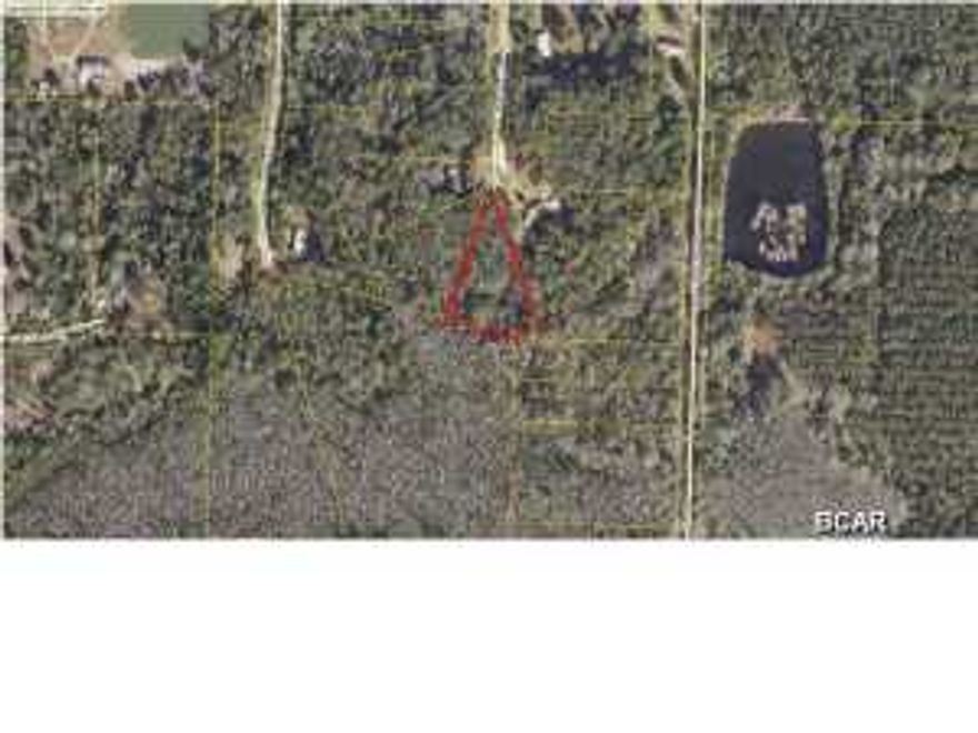 This beautiful wooded lot is located on a Cul-de-sac and just minutes from a boat landing and some of the best fishing in the area. This quiet community is great for building your family home or the family get-away or for future generation investment.