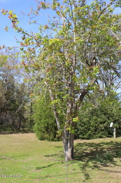 Alford - Residential