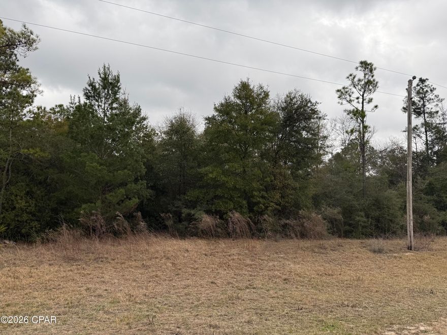 Excellent Location for your new home or Mobile Home.  Nice level lot with Electric running in front of the lot. Wooded.  Just a few yards off the paved Road which is one of the main roads running through to Hwy 167 and Hwy 231 by the way of Lakepoint Rd.  Easy access. 
Drive by and see the area. NO HOA or HOA fee's. There is a Property Owners Association, but there is no requirement to join but do have low fees. This area is growing and lots are affordable.