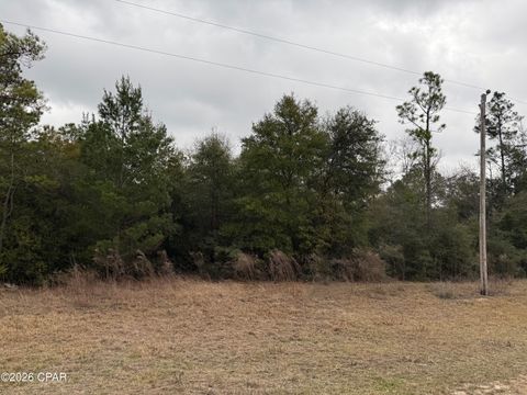 000 Russell Avenue Alford FL 32420