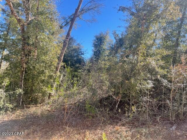 Compass Lake Hills Unit 6 - Land