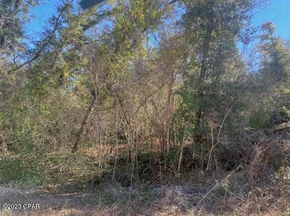 Compass Lake Hills Unit 6 - Land