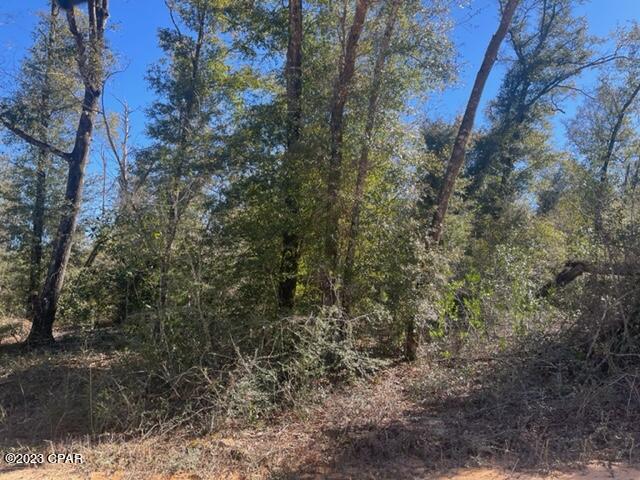 Compass Lake Hills Unit 6 - Land