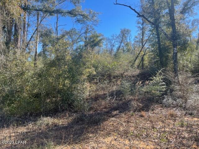 Compass Lake Hills Unit 6 - Land