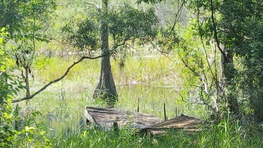 Nice 1.84 +/- acre wooded lot on Blackhole Pond in Dunford Haven. Not far from community boat ramp to Dunford Lake. Property has been surveyed and does have a easement. Dunford Lake allows up to 25 HP engines and maximum 15 mph on lake. Deed restrictions, homes only. Several Lakes in the area for fishing. Approx 35 miles north of Panama City Beach.