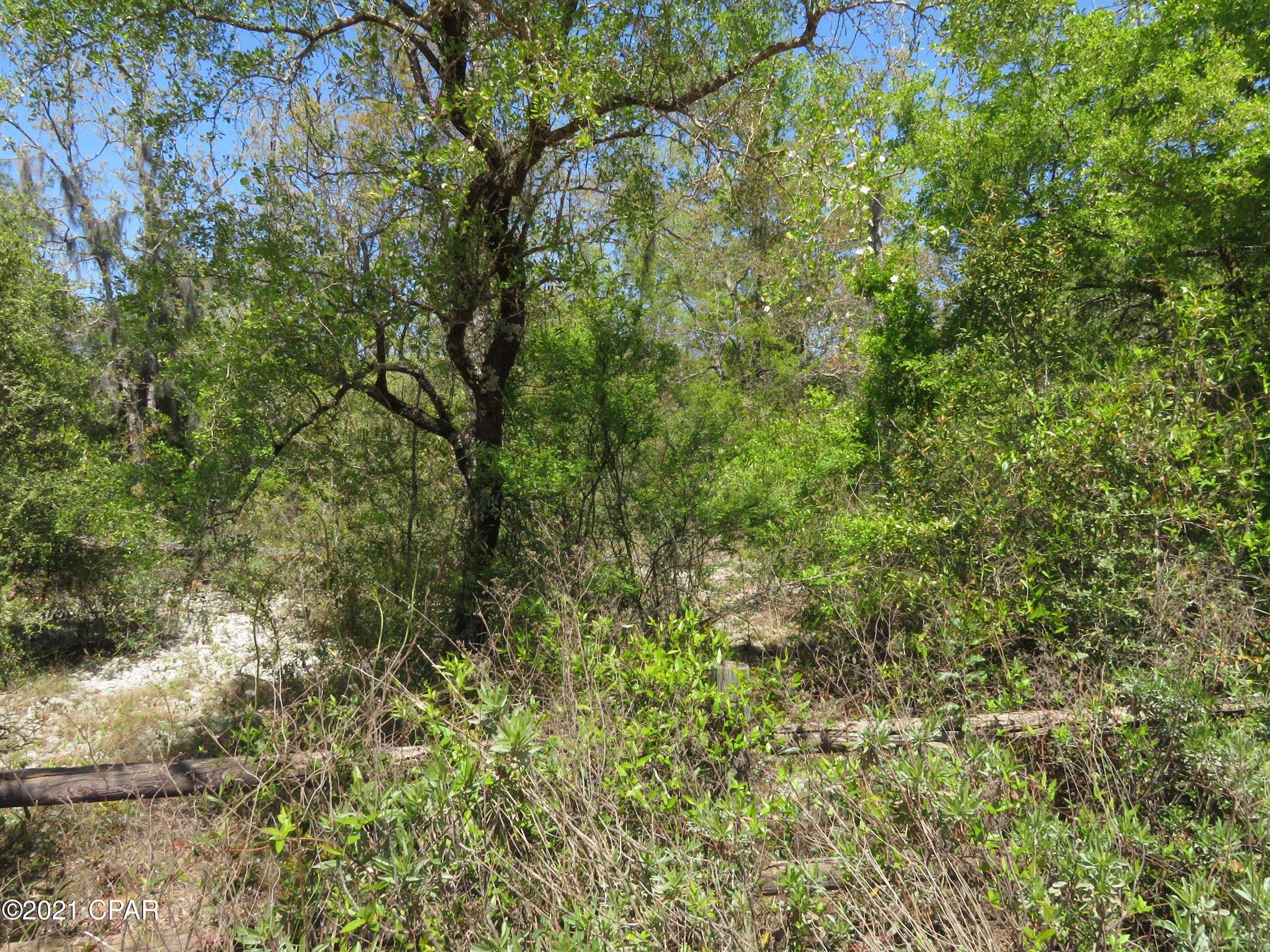 Porter Lake Retreat II - Land