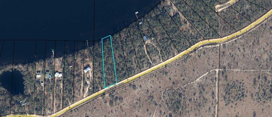 Enjoy waterfront living tucked away in privacy on a wooded lot on Porter Lake.  This is one of the largest lakes in Washington County being approximately 1273 acres.  The fishing is excellent with reports of large bass, bream and crappie.  It is great for water skiing, kayaking, canoeing and nature watching.  There is water management land all around which is great for exploring.  There are several springs in the nearby area to enjoy too.  This lot is 1.2 acres.  There is no HOA so you don't have to deal with lots of restrictions.  This is the only water front lot on this lake available so it won't last long!