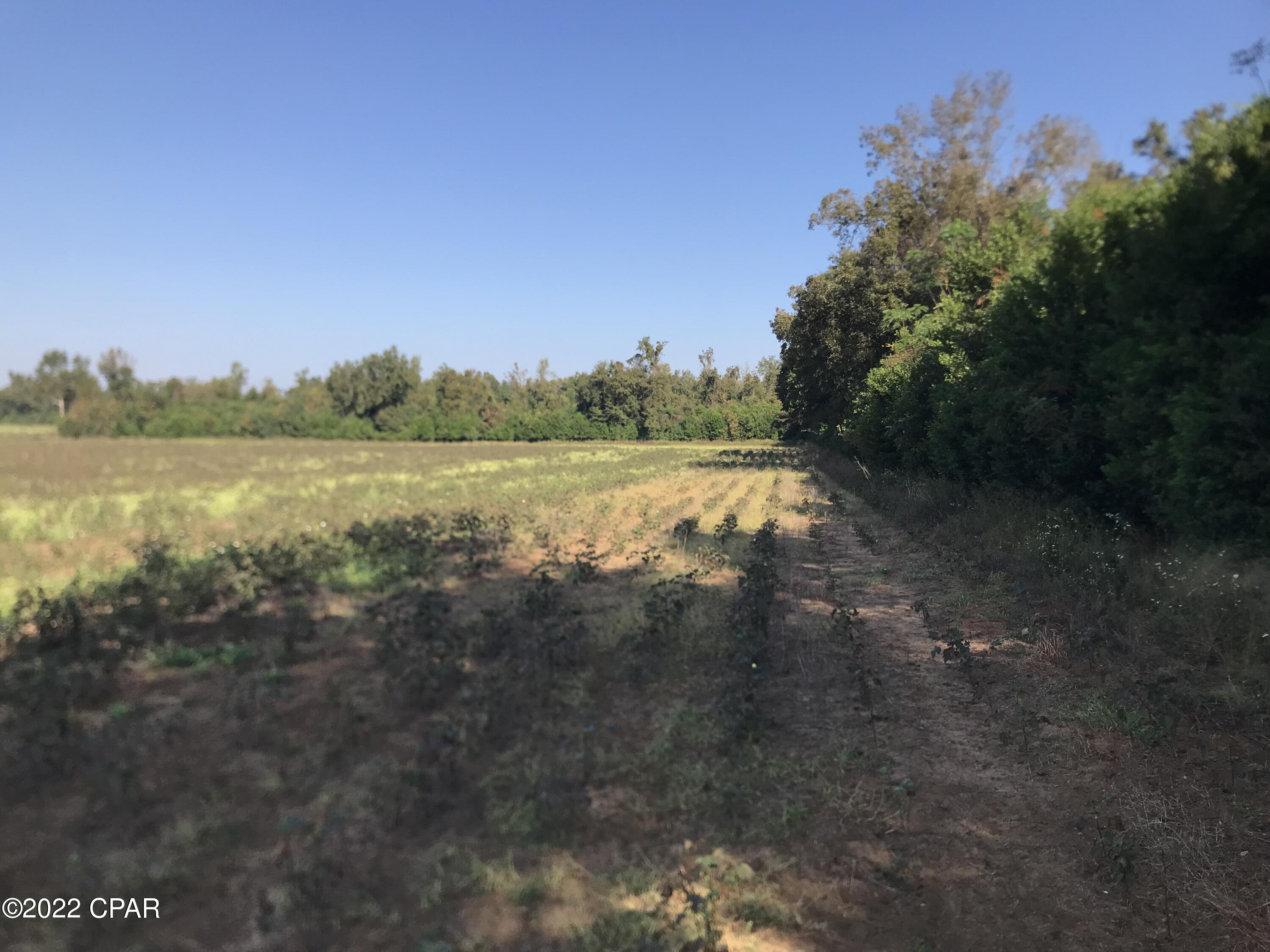No Named Subdivision - Land