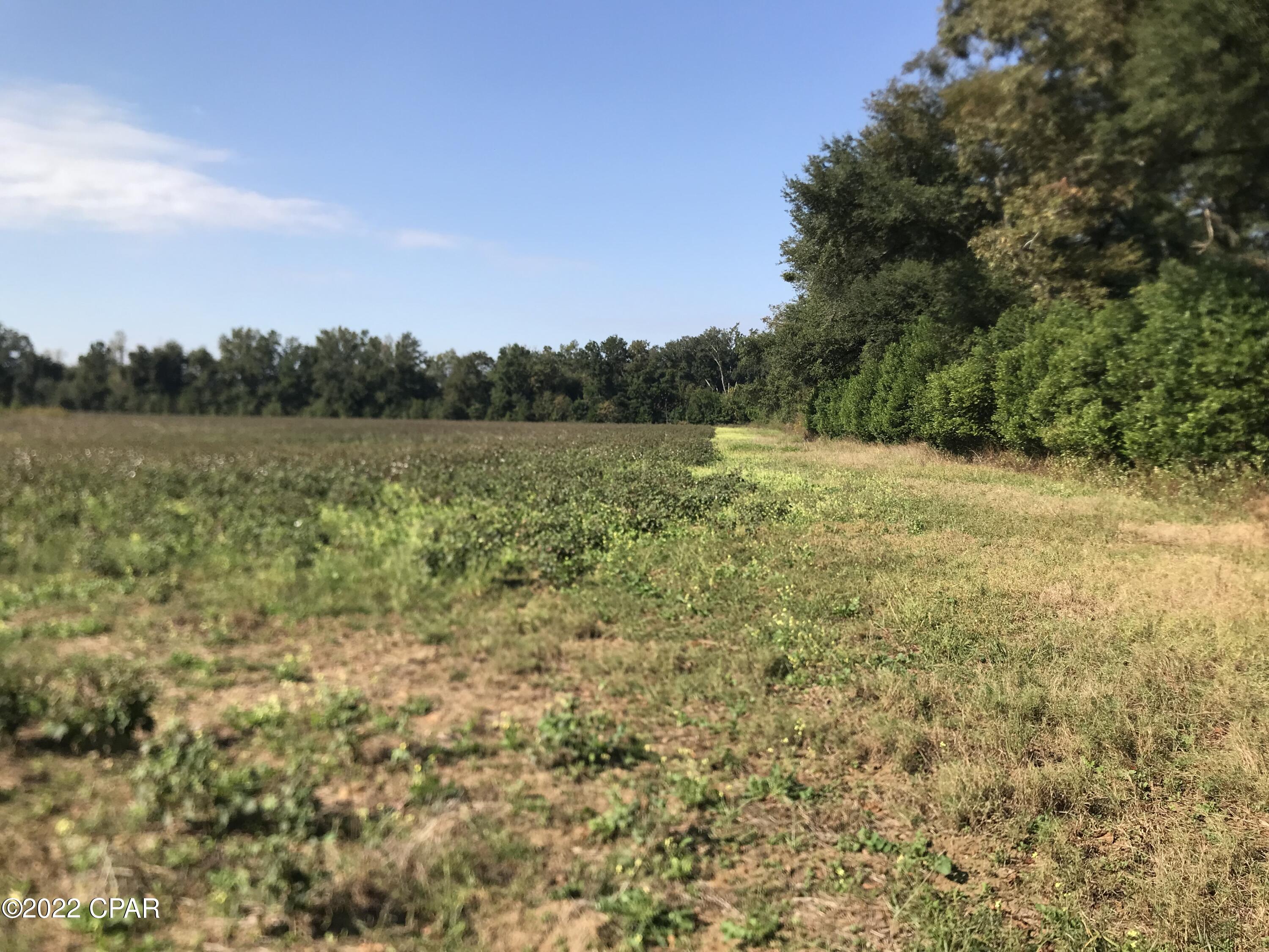 No Named Subdivision - Land