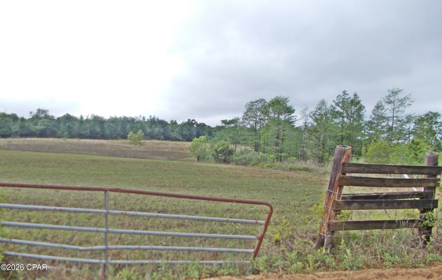 Very nice 9 ac mini farm with a nice slope for back, ideal place to build a home or bring a mobile home, plenty room for animals and a small wet weather pond on the front. This is being cut out of a larger parcel the buyer will need to have a survey, this parcel is just minutes from Interstate 10 and convenient to Tallahassee. Just quiet country living.