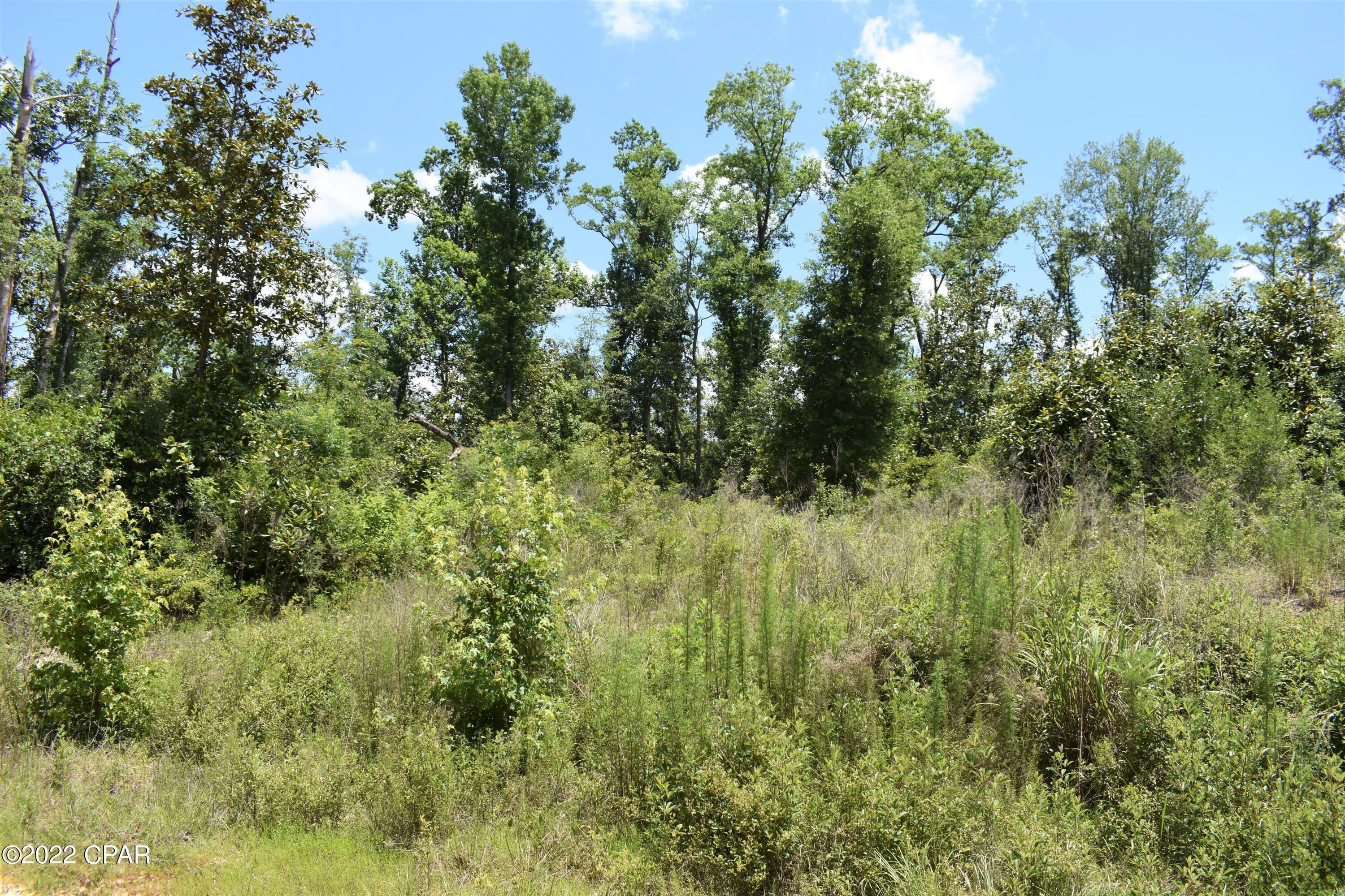 Compass Lake Hills Unit 3 - Land