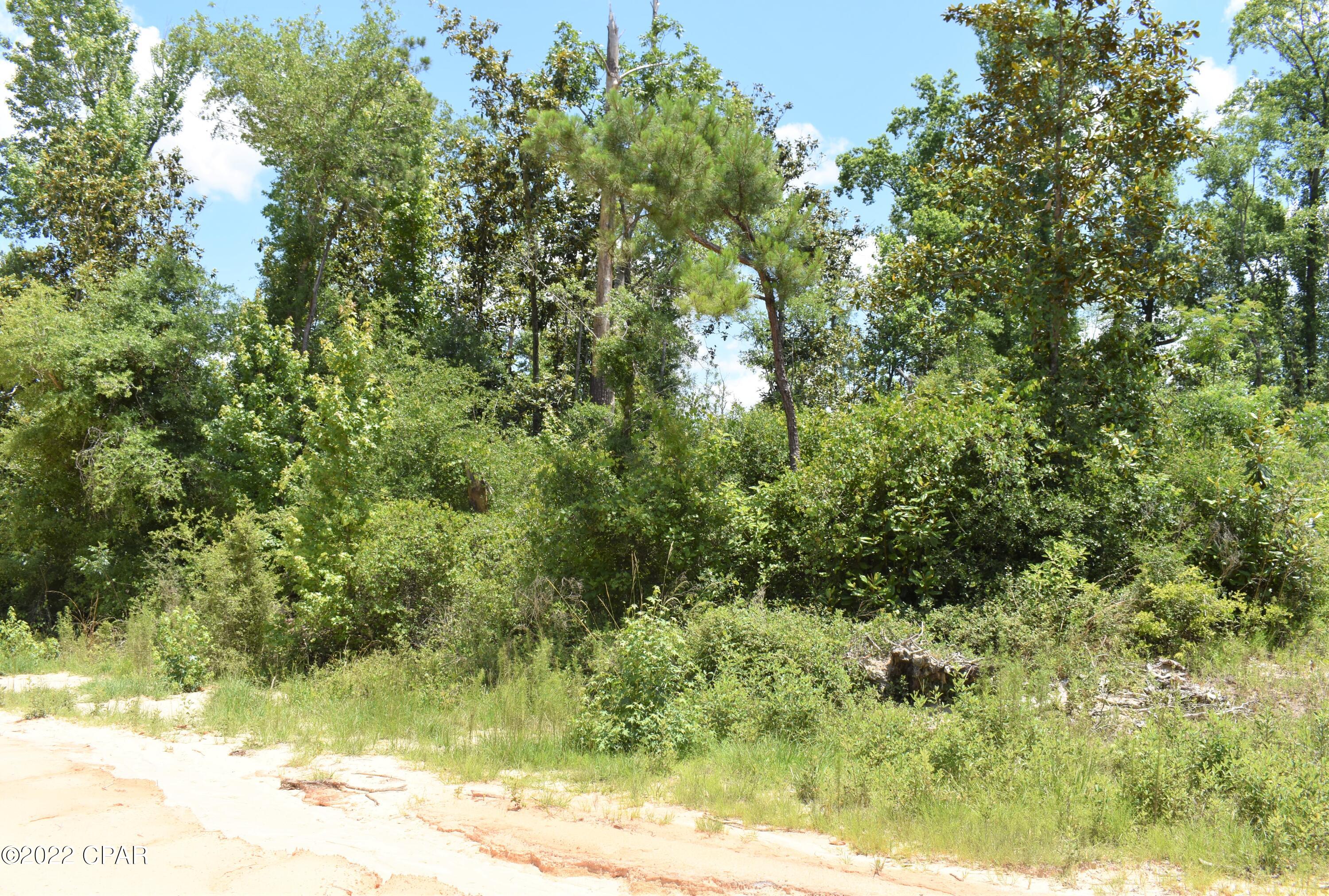Compass Lake Hills Unit 3 - Land