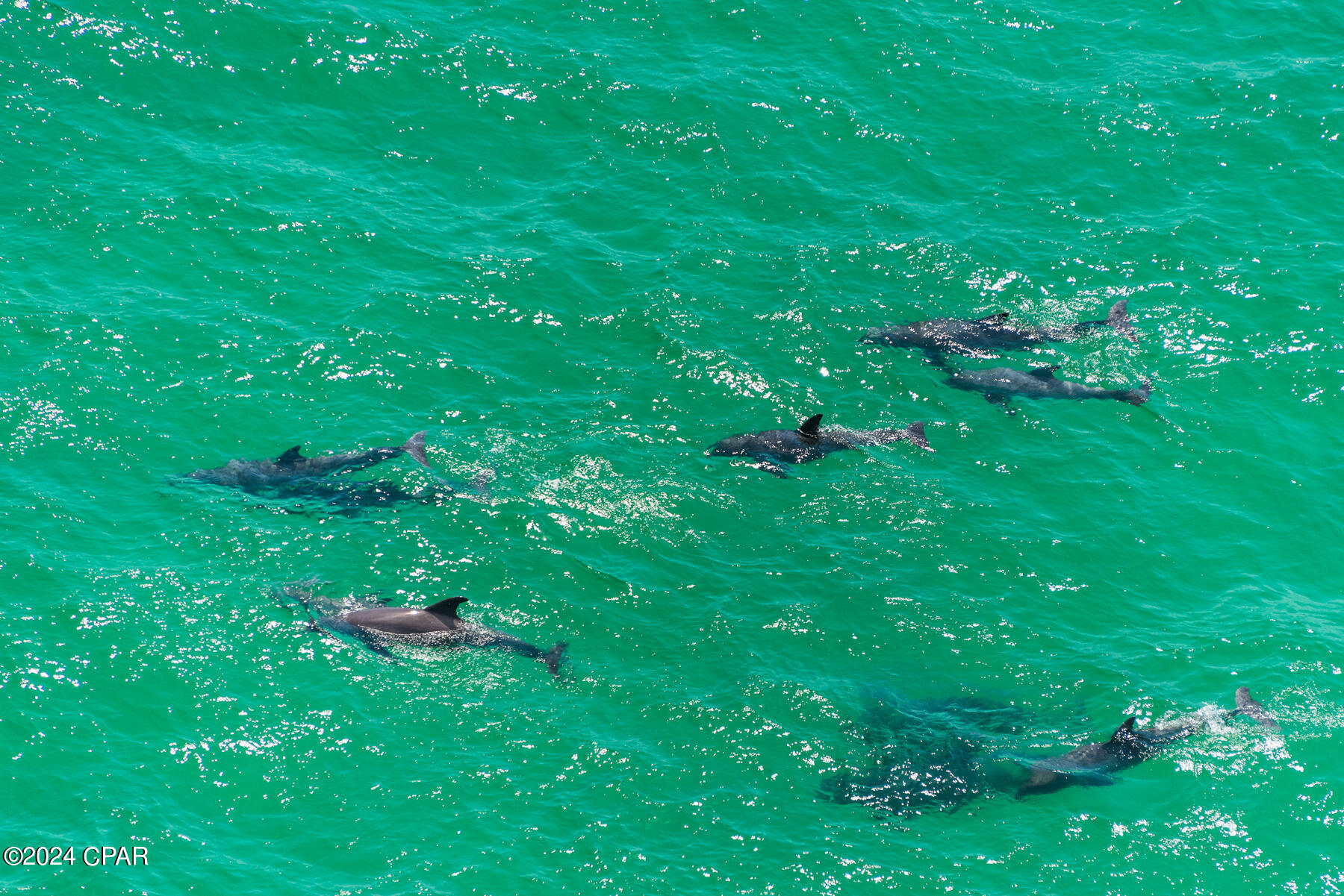 Tidewater Beach Phase II - Residential