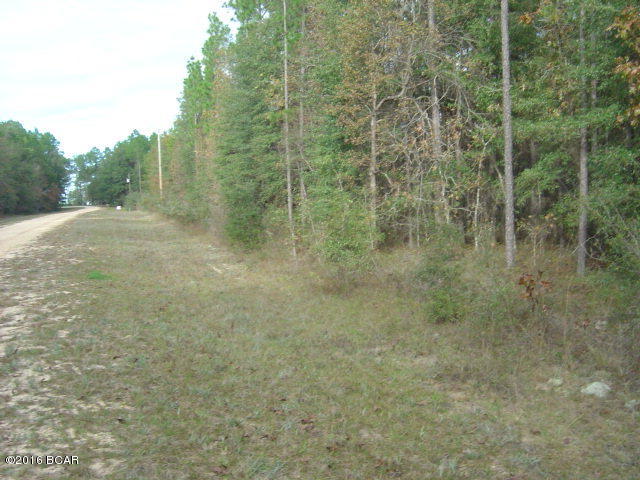 Compass Lake In The Hills - Land