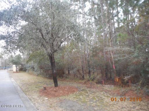 Cessna Landing - Land