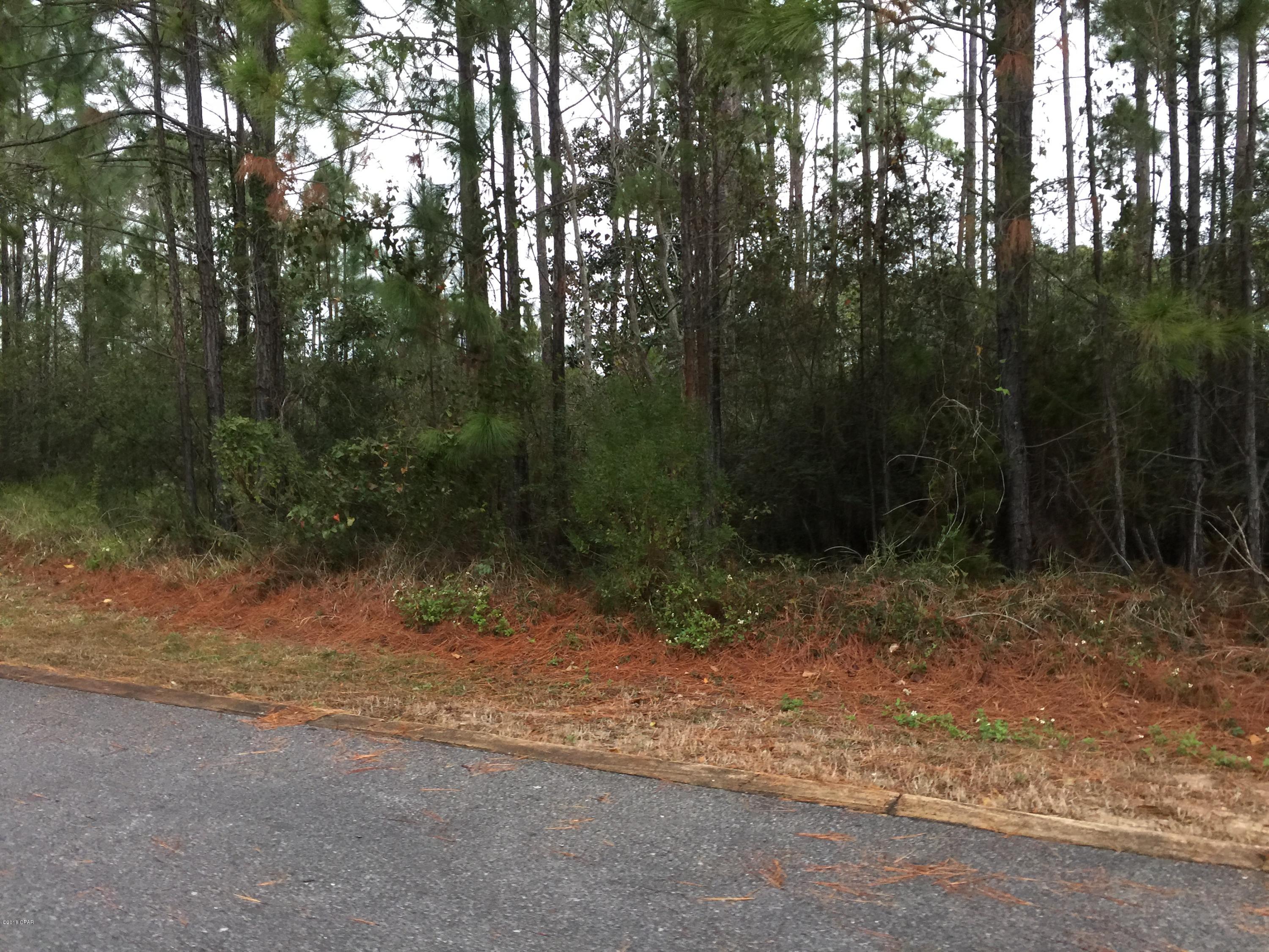 Cessna Landing - Land