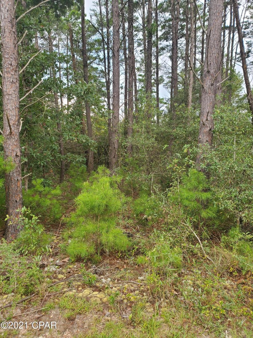 Well positioned piece of land not far from popular hicks lake and the city of Vernon. It is a good amount of paved road frontage on Holmes Valley Rd. It is mostly planted pine trees. It would make a nice homesite.